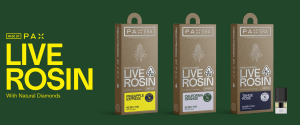 Live Rosin Pax Pod vape