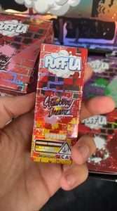 Puff la 2g Disposable