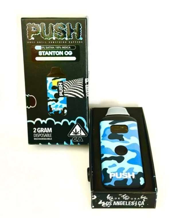 Push 2g Disposable Vape